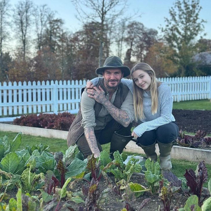 David Beckham gây sốt với sở thích làm vườn - Ảnh 1.