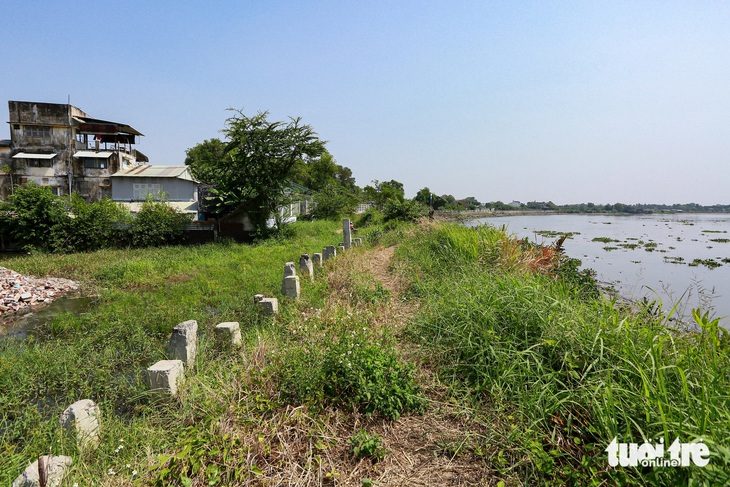 Đoạn 4 của dự án chống sạt lở bán đảo Thanh Đa (quận Bình Thạnh, TP.HCM) xây dựng chây ì mãi chưa xong. Hiện tại bờ kè liêu xiêu, cỏ cây mọc um tùm - Ảnh: CHÂU TUẤN